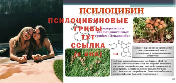 ГАЛЛЮЦИНОГЕННЫЕ ГРИБЫ Верхнеуральск