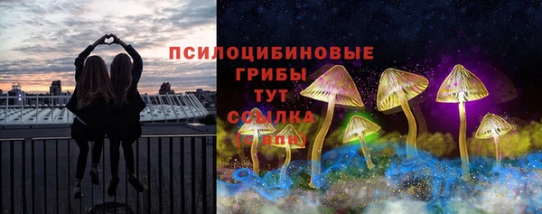 бошки Верхний Тагил